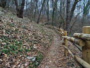 79 Da Poscante sul Sentiero delle castagne